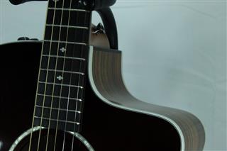 TAYLOR GUITARS 214CE DLX